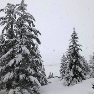 Meet your Posher, Lynn